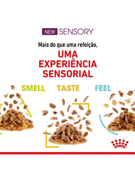 Royal Canin Gatos Ageing +12 Húmidos Saquetas 85g x 12uni.