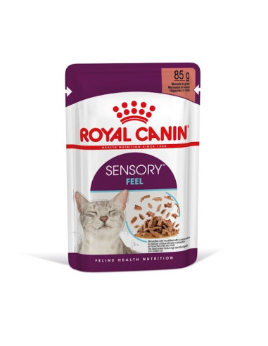 Royal Canin Gatos Ageing +12 Húmidos Saquetas 85g x 12uni.