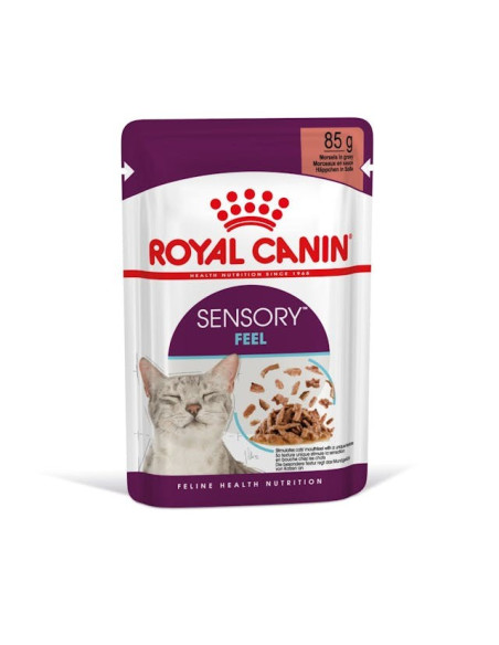 Royal Canin Gatos Ageing +12 Húmidos Saquetas 85g x 12uni.