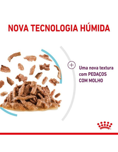 Royal Canin Gatos Ageing +12 Húmidos Saquetas 85g x 12uni.