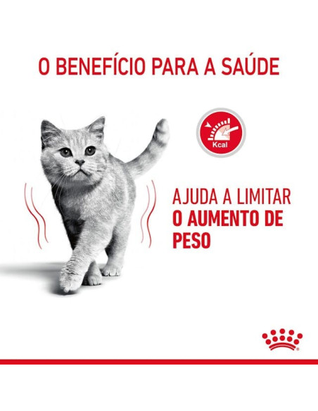 Royal Canin Ultra Light (Jelly), Gatos, Húmidos, Adulto, Alimento