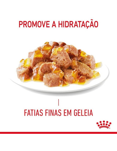 Royal Canin Ultra Light (Jelly), Gatos, Húmidos, Adulto, Alimento