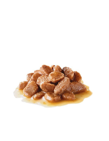 Royal Canin Appetite Control , Gatos, Húmidos, Adulto, Alimento/Ração