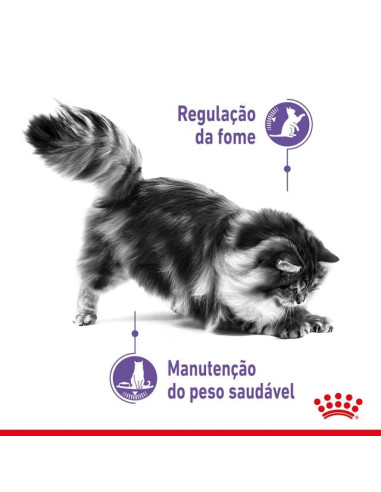 Royal Canin Appetite Control , Gatos, Húmidos, Adulto, Alimento/Ração