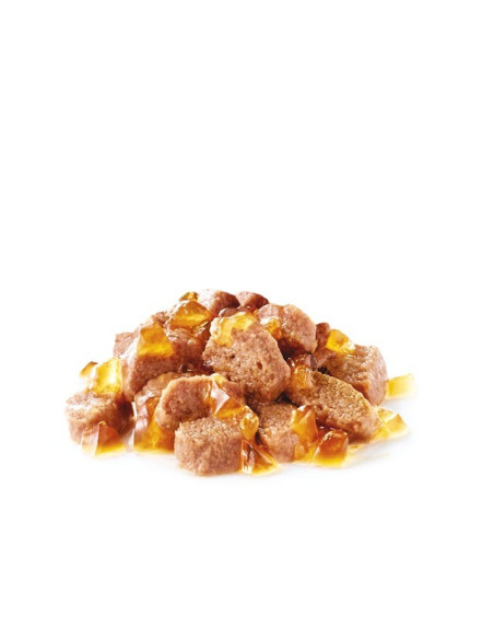 Royal Canin Appetite Control , Gatos, Húmidos, Adulto, Alimento/Ração
