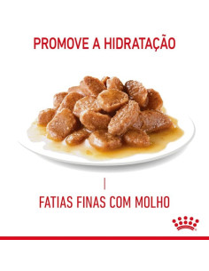 Royal Canin Gatos Digestive Sensitive Húmidos Saquetas 85g x 12uni. 2
