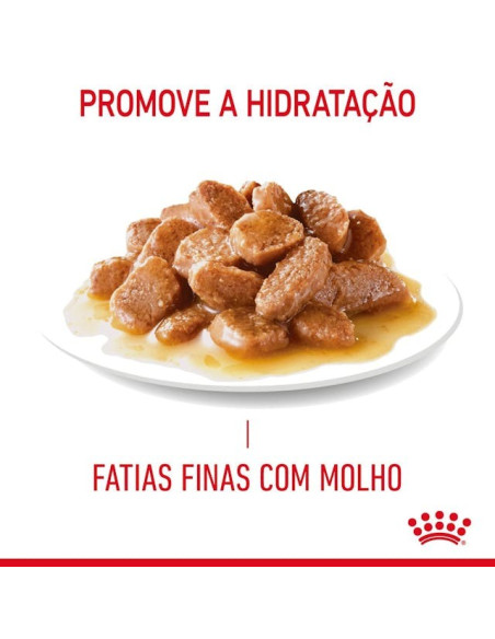 Royal Canin Gatos Digestive Sensitive Húmidos Saquetas 85g x 12uni.