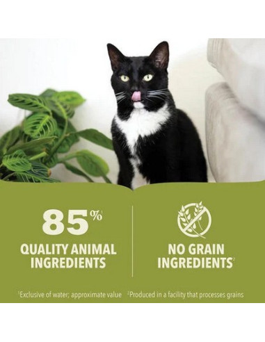 Acana Gato húmidos atum com frango