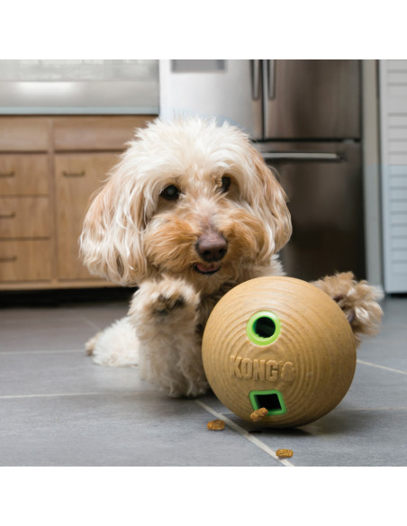 Kong Bamboo Feeder Ball - Medium (PTB21E)