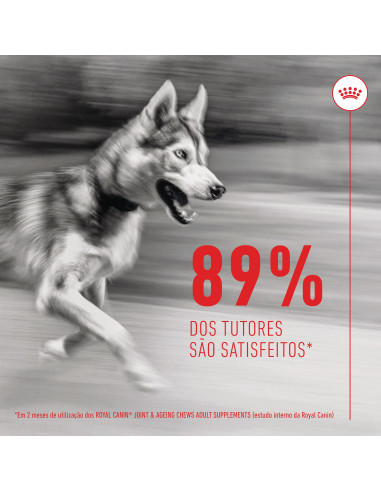 Royal Canin Cão Suplemento Joint & Ageing Chews 240gr