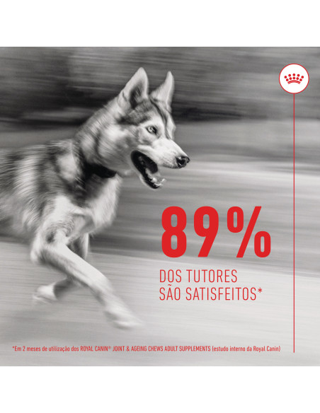 Royal Canin Cão Suplemento Joint & Ageing Chews 240gr