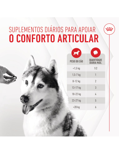 Royal Canin Cão Suplemento Joint & Ageing Chews 240gr