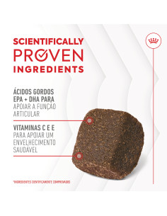 Royal Canin Cão Suplemento Joint & Ageing Chews 240gr 2
