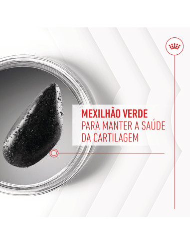 Royal Canin Cão Suplemento Joint & Ageing Chews 240gr