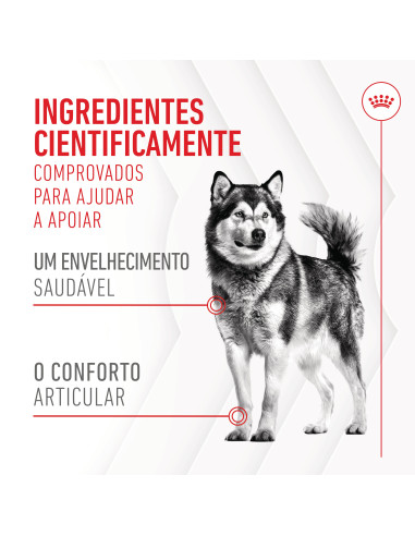 Royal Canin Cão Suplemento Joint & Ageing Chews 240gr