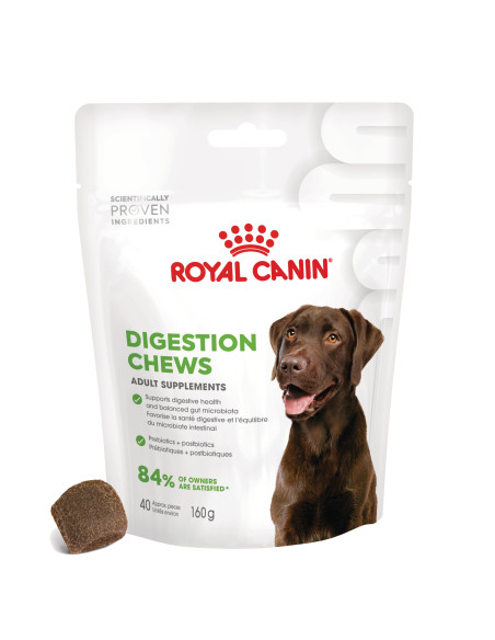 Royal Canin Cão Suplemento Digestion Adulto Chews 160gr