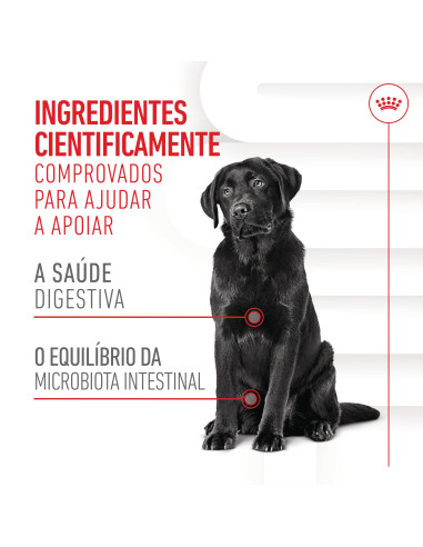 Royal Canin Cão Suplemento Digestion Adulto Chews 160gr