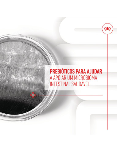 Royal Canin Cão Suplemento Digestion Adulto Chews 160gr