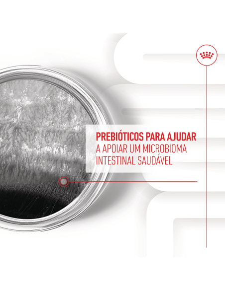 Royal Canin Cão Suplemento Digestion Adulto Chews 160gr