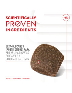 Royal Canin Cão Suplemento Digestion Adulto Chews 160gr 2