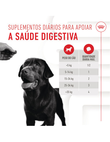 Royal Canin Cão Suplemento Digestion Adulto Chews 160gr