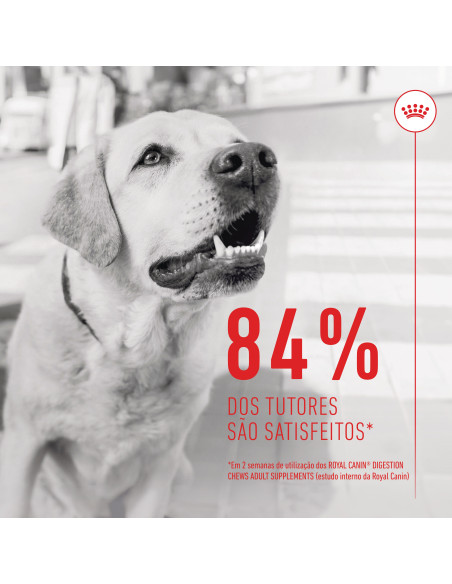 Royal Canin Cão Suplemento Digestion Adulto Chews 160gr