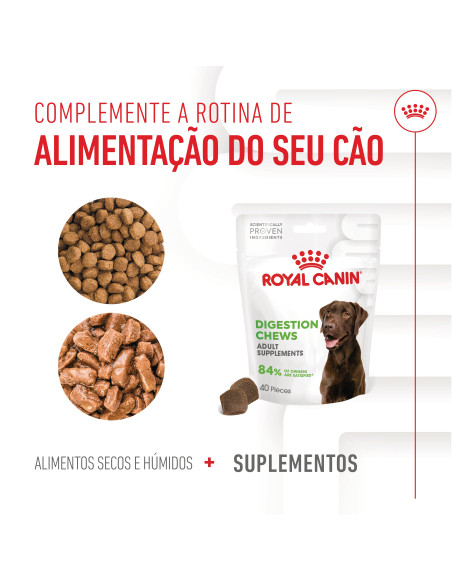 Royal Canin Cão Suplemento Digestion Adulto Chews 160gr