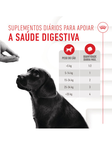 Royal Canin Cão Suplemento Immunity Digestion Puppy Chews 100gr