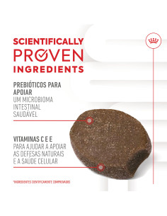 Royal Canin Cão Suplemento Immunity Digestion Puppy Chews 100gr 2