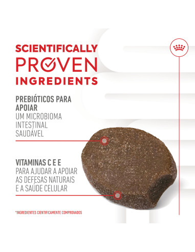 Royal Canin Cão Suplemento Immunity Digestion Puppy Chews 100gr