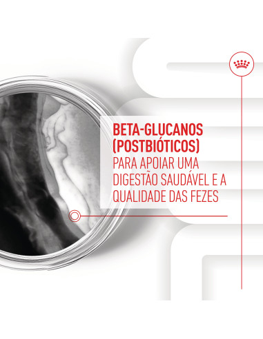 Royal Canin Cão Suplemento Immunity Digestion Puppy Chews 100gr