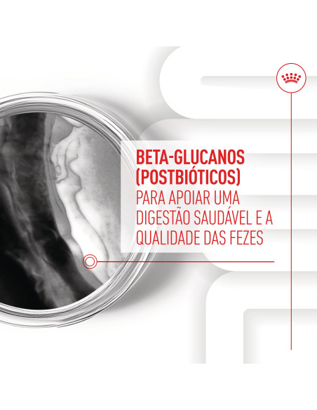 Royal Canin Cão Suplemento Immunity Digestion Puppy Chews 100gr