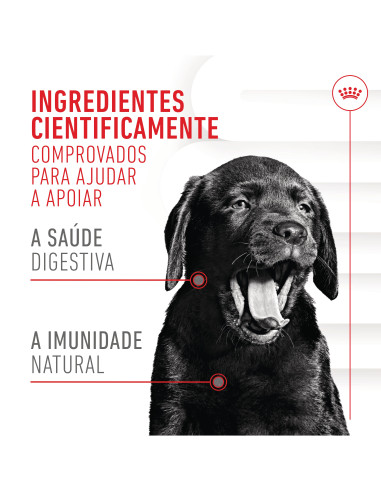 Royal Canin Cão Suplemento Immunity Digestion Puppy Chews 100gr