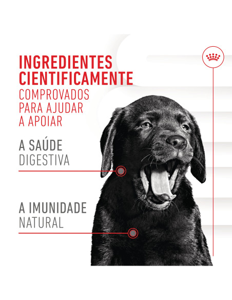 Royal Canin Cão Suplemento Immunity Digestion Puppy Chews 100gr