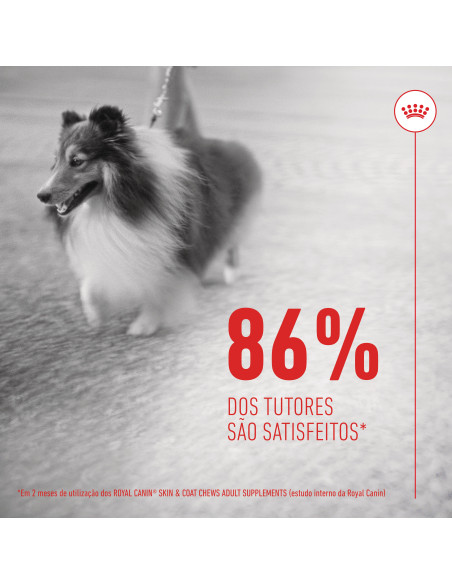 Royal Canin Cão Suplemento Skin & Coat Chews 240gr