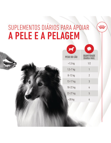Royal Canin Cão Suplemento Skin & Coat Chews 240gr