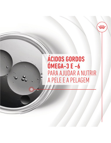 Royal Canin Cão Suplemento Skin & Coat Chews 240gr