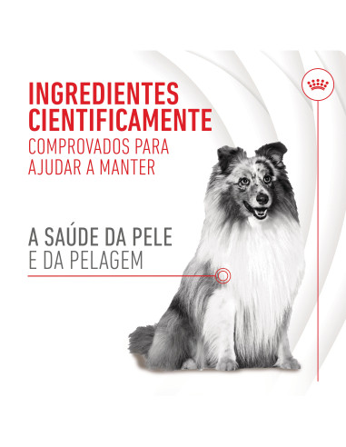 Royal Canin Cão Suplemento Skin & Coat Chews 240gr