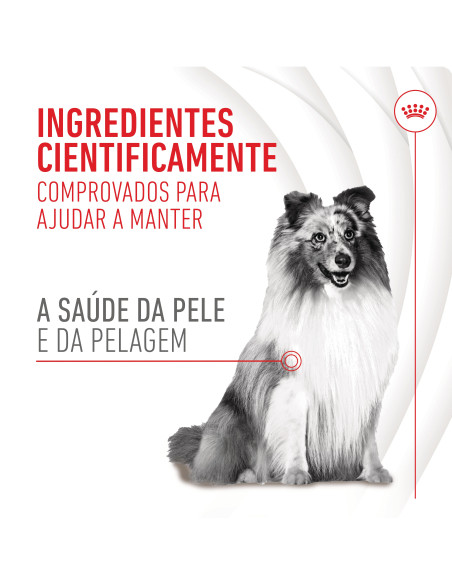 Royal Canin Cão Suplemento Skin & Coat Chews 240gr