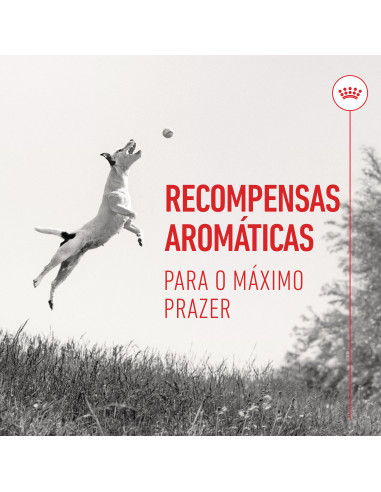 Royal Canin Cão Training Treats Educ 110gr