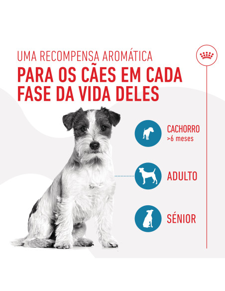 Royal Canin Cão Training Treats Educ 110gr