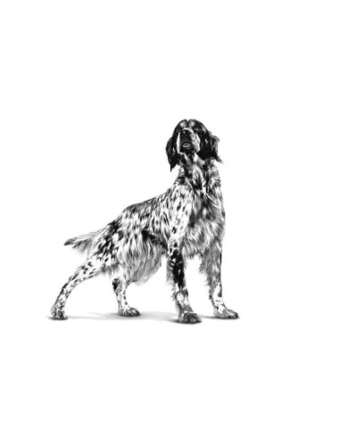 Royal Canin Satiety Weight Management 12kg