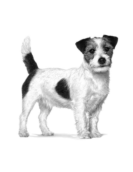 Royal Canin Hypoallergenic Small Dog 3,5Kg