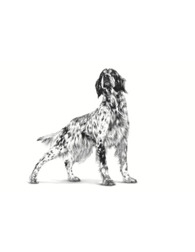 Royal Canin Hypoallergenic Canine Moderate calorie 14Kg