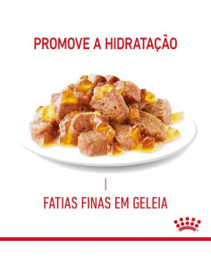 Royal Canin Urinary Care (Gravy), Gatos, Húmidos, Adulto, Alimento 2