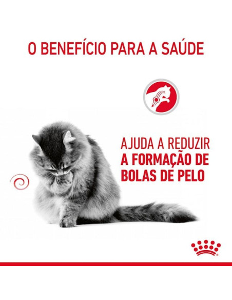 Royal Canin Hairball Care (Jelly), Gatos, Húmidos, Adulto, Alimento