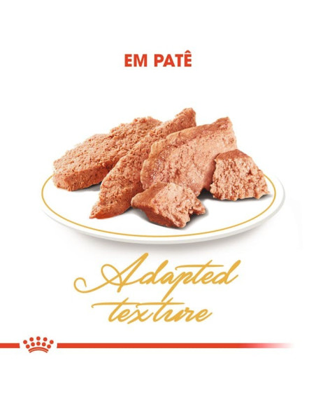 Royal Canin Persa (Loaf), Gatos, Húmidos, Alimento