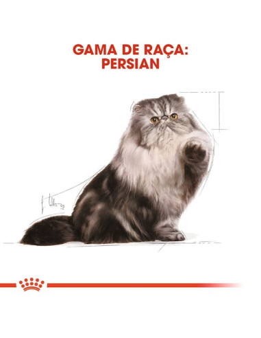 Royal Canin Persa (Loaf), Gatos, Húmidos, Alimento