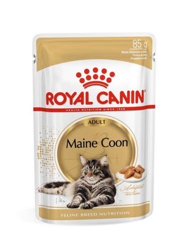 Royal Canin Maine Coon (Loaf), Gatos, Húmidos, Alimento