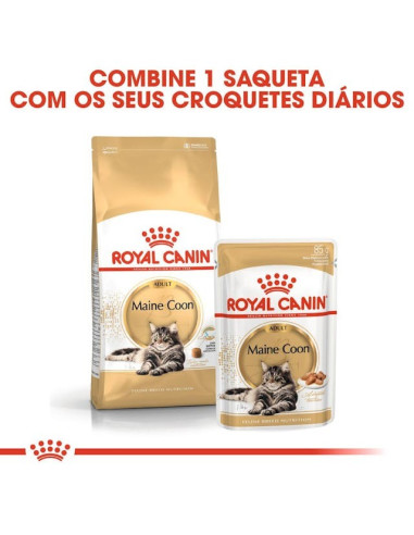 Royal Canin Maine Coon (Loaf), Gatos, Húmidos, Alimento